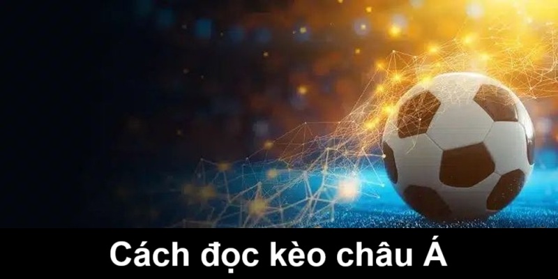 Kèo Handicap 0.25 trên bàn cược
